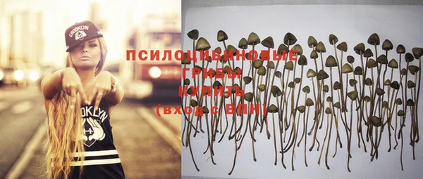 PSILOCYBIN Верхнеуральск